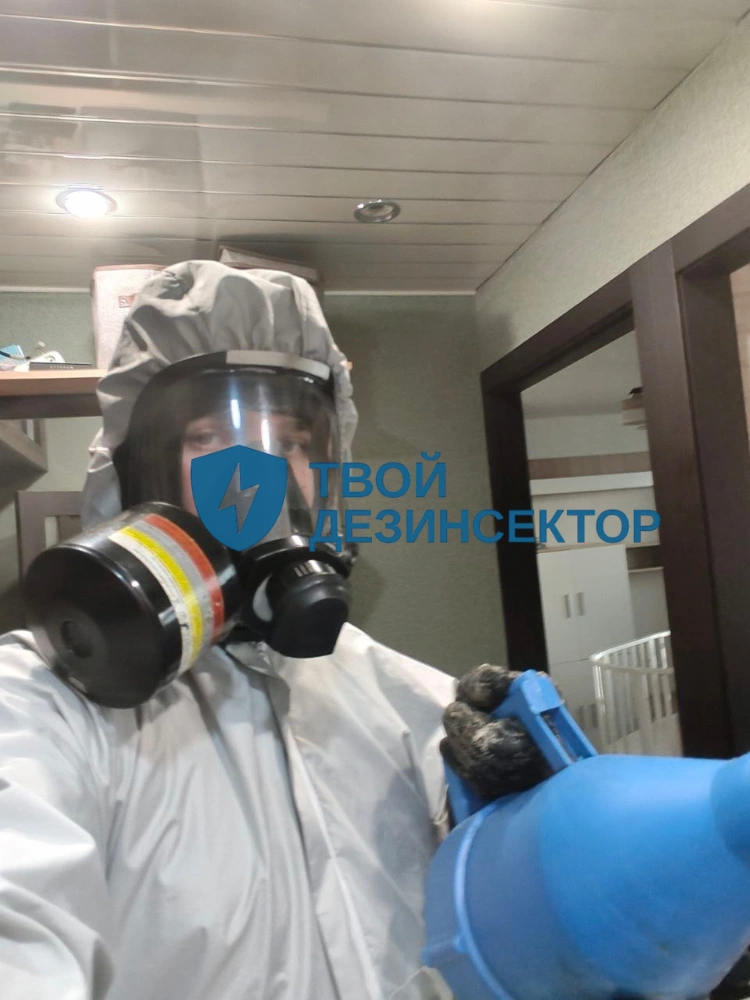 Дезинфекция квартиры от тараканов в Зеленограде